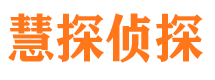 乌苏侦探公司